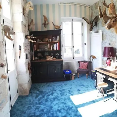 Maison De Maitre Avec Piscine Sur La Loire